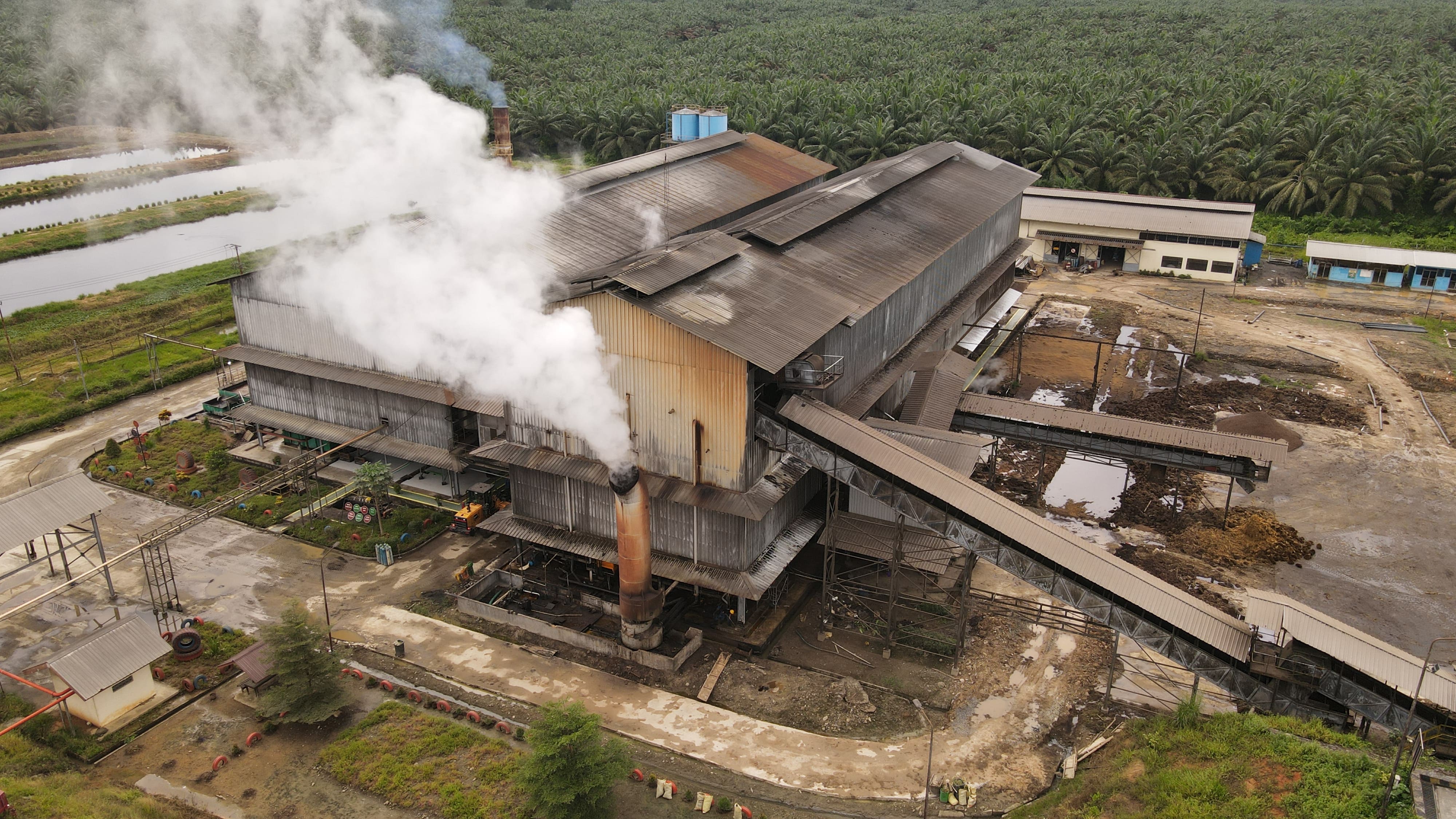 Perkebunan Sawit